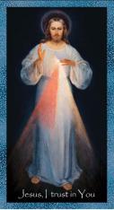 Chaplet of Divine Mercy Emergency Prayer Card - Pack 1000